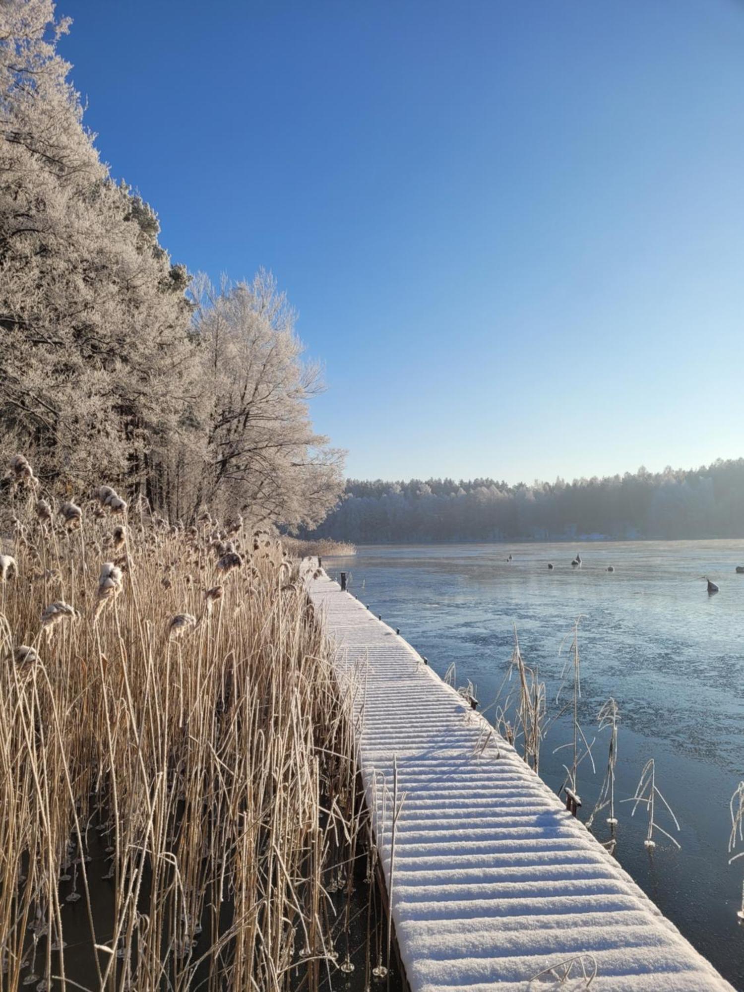 Polwysep Lipa Villa Wdzydze Tucholskie Exteriör bild