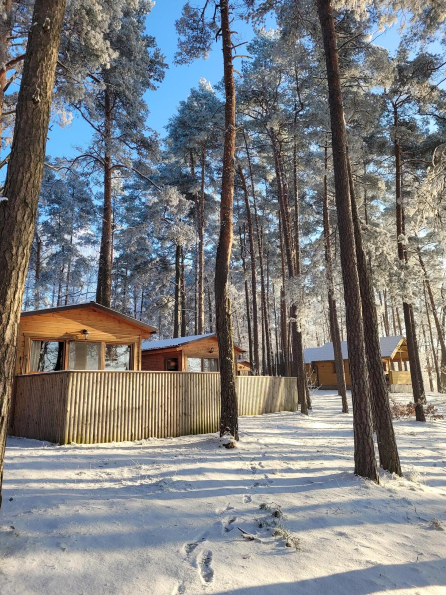 Polwysep Lipa Villa Wdzydze Tucholskie Exteriör bild