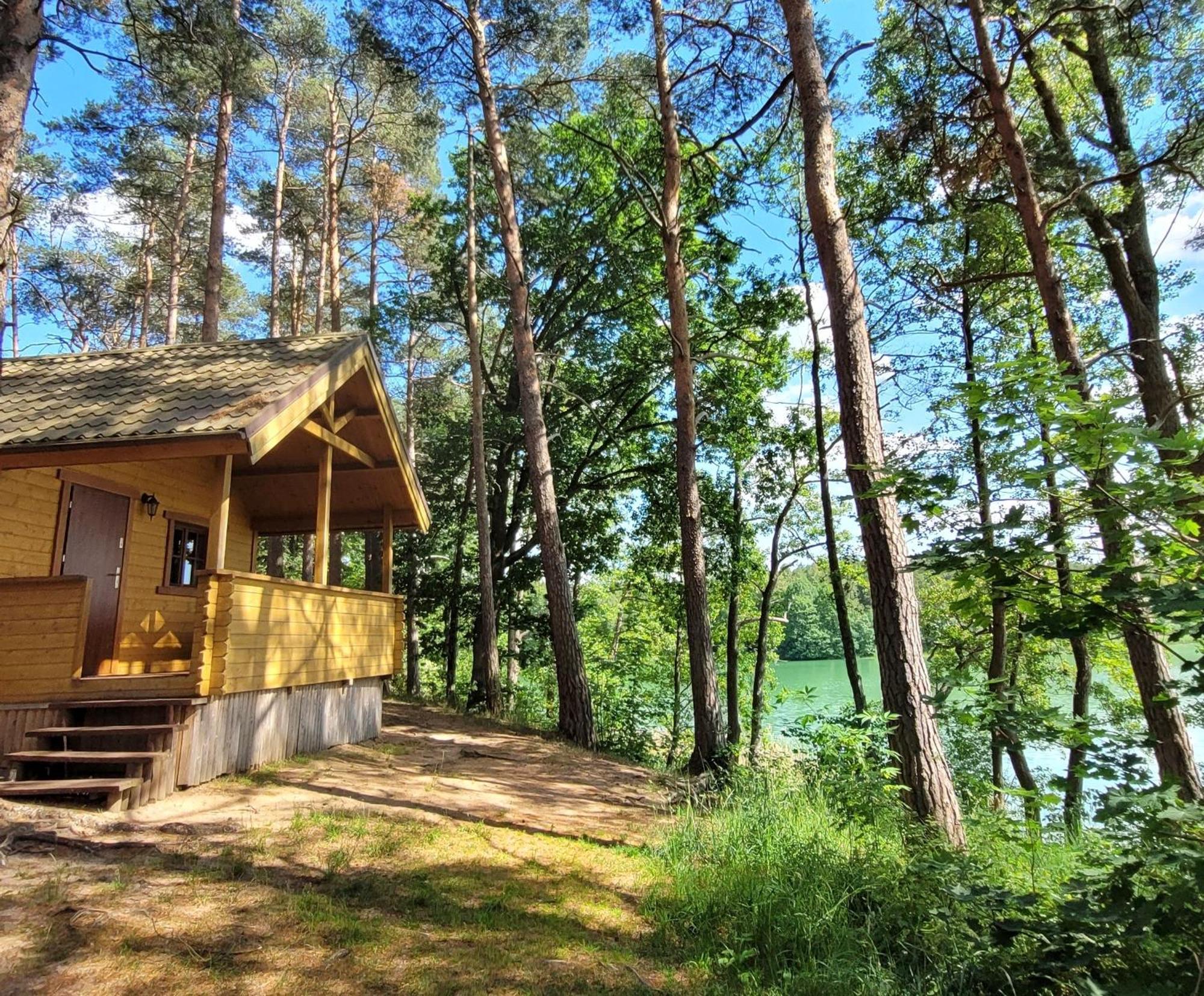 Polwysep Lipa Villa Wdzydze Tucholskie Exteriör bild