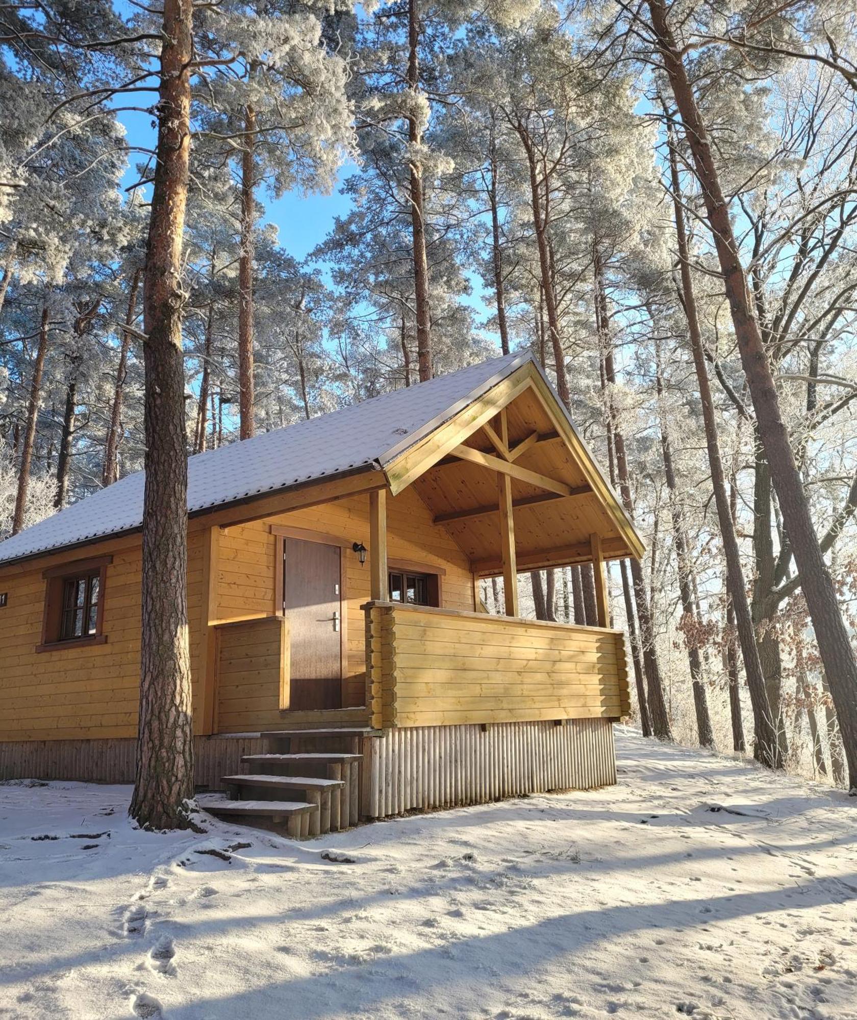 Polwysep Lipa Villa Wdzydze Tucholskie Exteriör bild