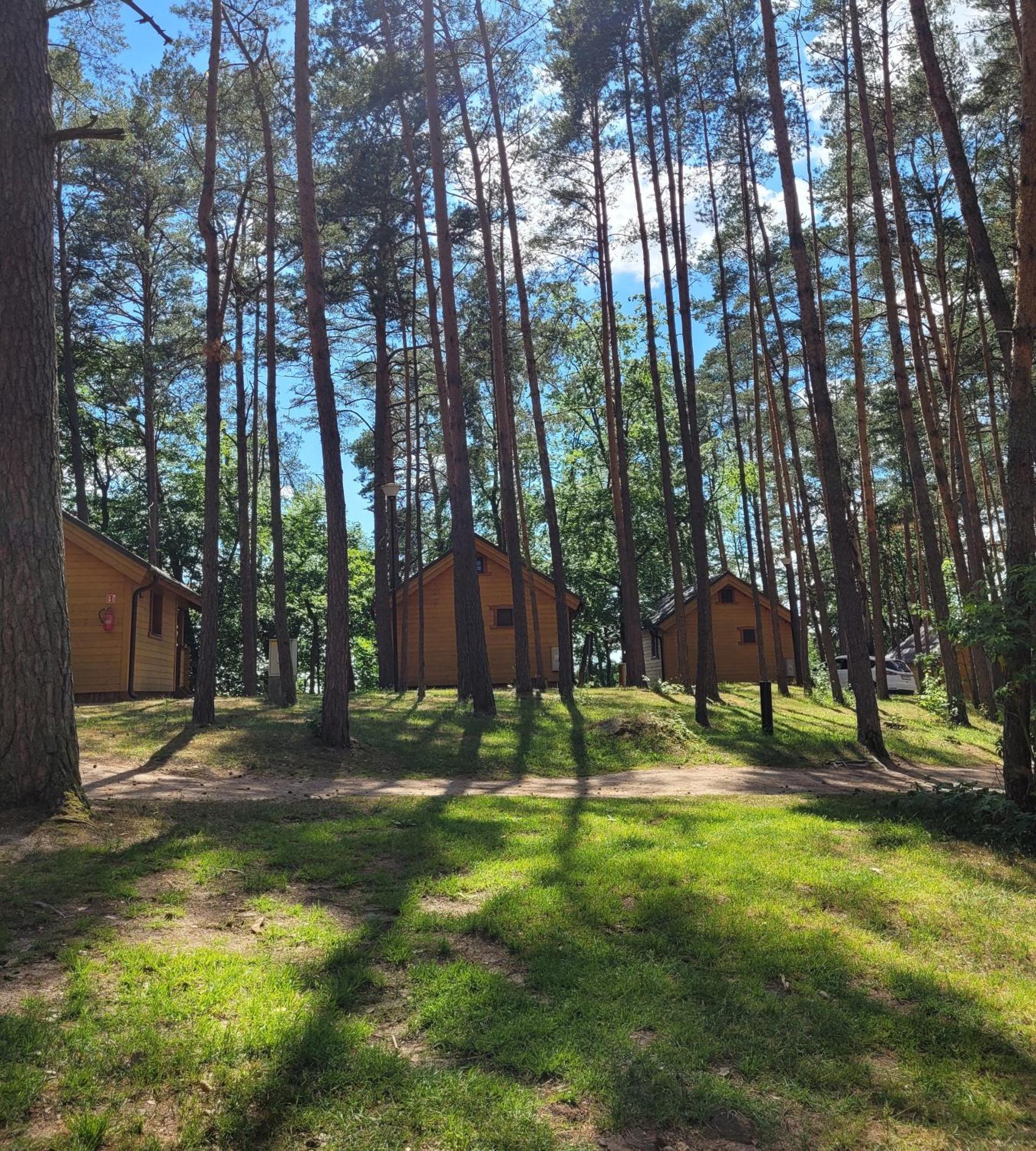 Polwysep Lipa Villa Wdzydze Tucholskie Exteriör bild