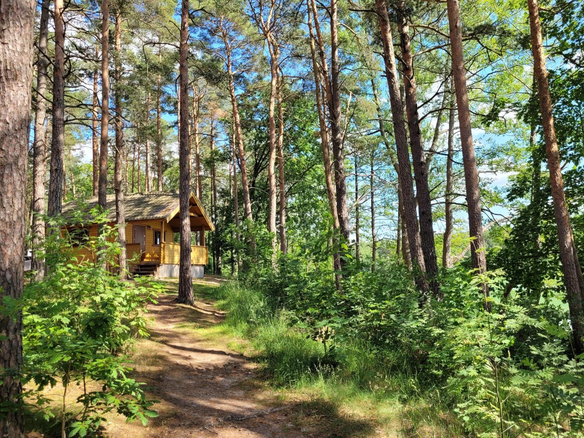Polwysep Lipa Villa Wdzydze Tucholskie Exteriör bild
